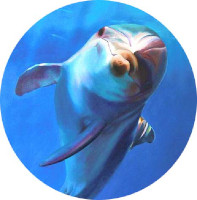 Kids Books Kids Books