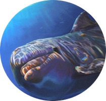 Art Classes Art Classes